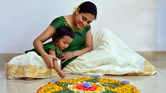 Onam dresses - Organza and Net