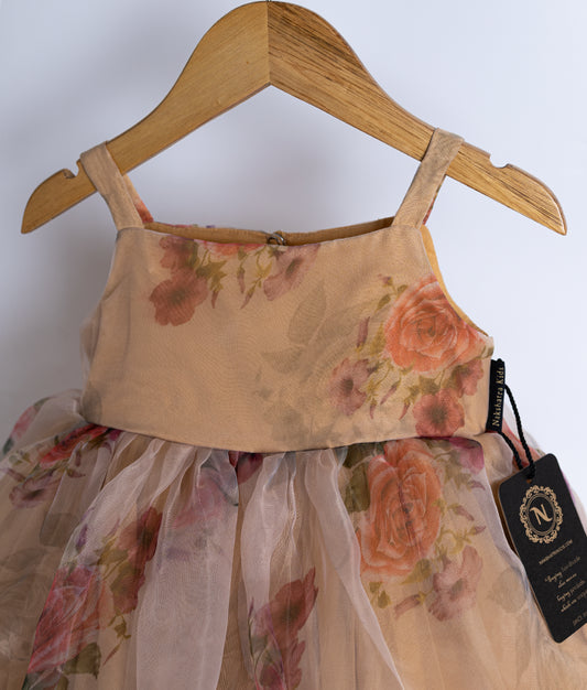 Close view of an sleeveless beige floral printed organza frock displayed on a wooden hanger.