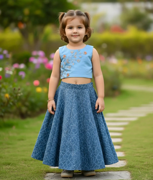 Baby girl wearing a blue handworked top and ash georgette skirt