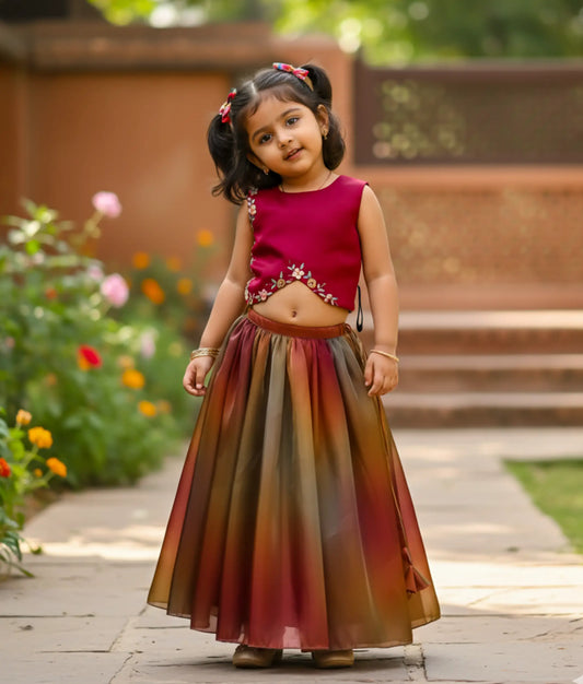 A baby girl wearing the rani pink handworked organza top paired with a multicolored gradient flared skirt