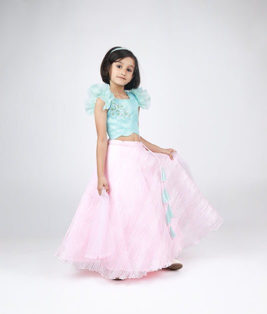 Blue and pink western crop top set for baby girls with floral embroidery and ruffled sleeves