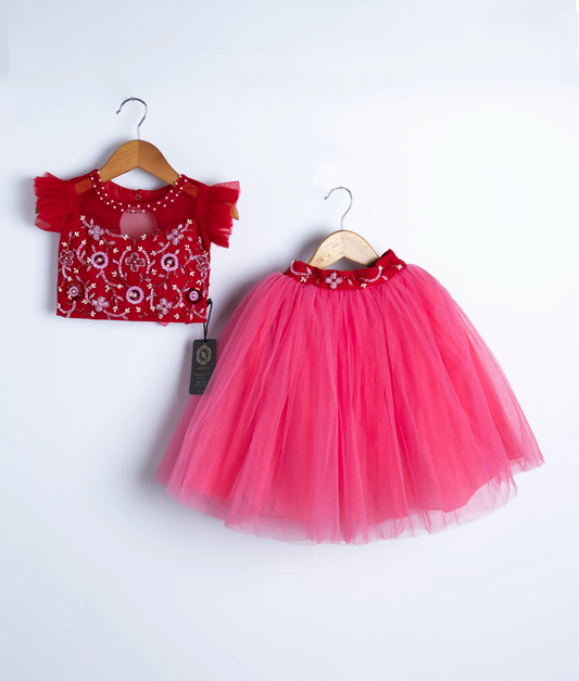 Red and pink swan theme handmade applique party dress with tulle net skirt and embroidered bodice for girls