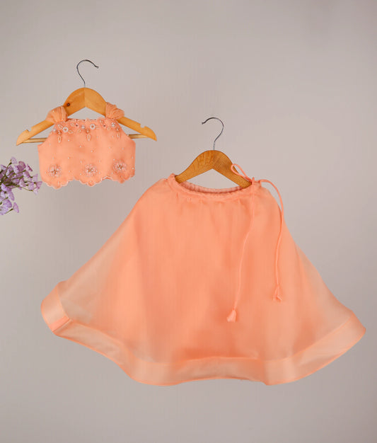 Peach designer kids lehenga choli set with handworked top and flared skirt, perfect for parties.