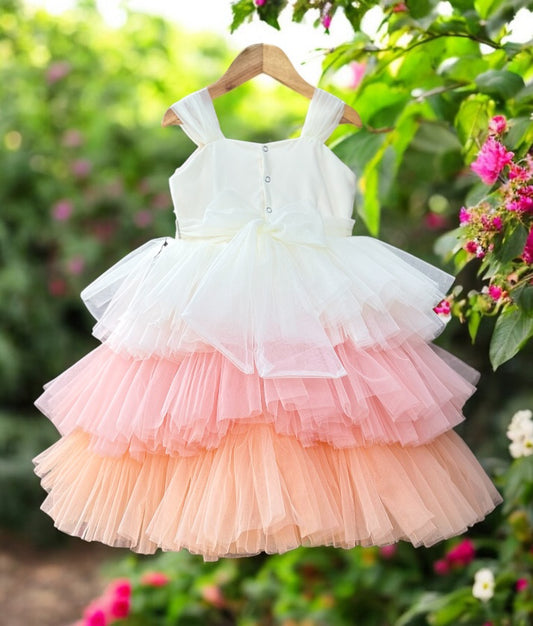 Multicolour Tulle Net Handworked Step Birthday Frock for baby girl birthday (Pre Order: 5128)