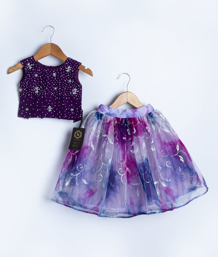 Violet Handwork  Crop Top with Organza Full Skirt For Baby Girl [2045]