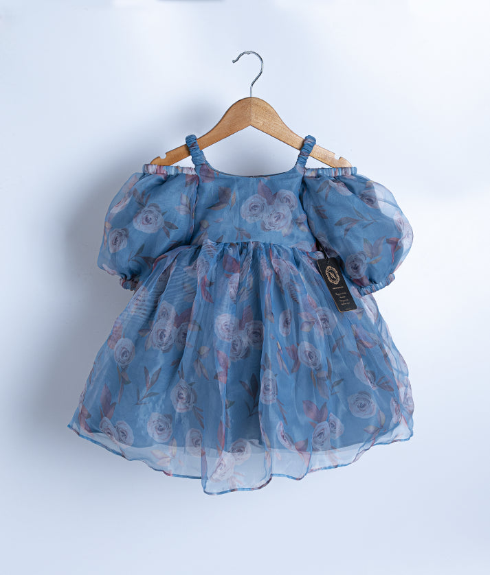 Blue Printed Organza Casual Frock For Baby Girl [2066]