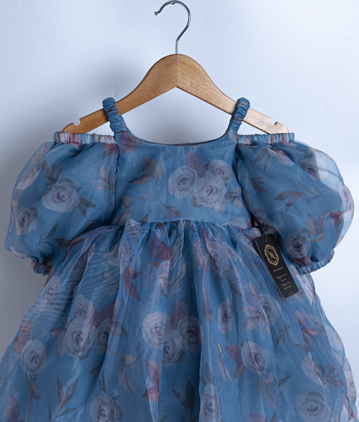 Blue Printed Organza Casual Frock For Baby Girl [2066]
