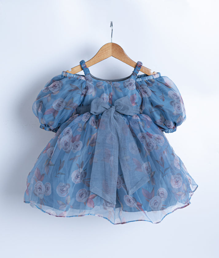 Blue Printed Organza Casual Frock For Baby Girl [2066]