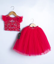 Hot pink Handwork Crop Top With Full Length Skirt For Baby Girl (2150]