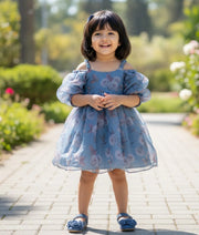 Blue Printed Organza Casual Frock For Baby Girl [2066]