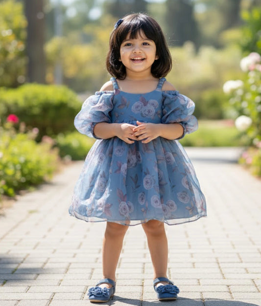 Blue Printed Organza Casual Frock For Baby Girl [Ready To Ship: 2066]