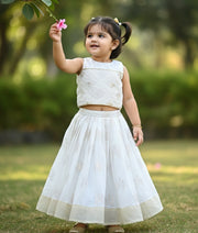 Offwhite Work Material Crop Top With Chanderi Full Length Skirt For Baby Girl [7653]