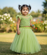Pastel Green Tulle Net Handworked Crop Top with Full Length Skirt [7866]
