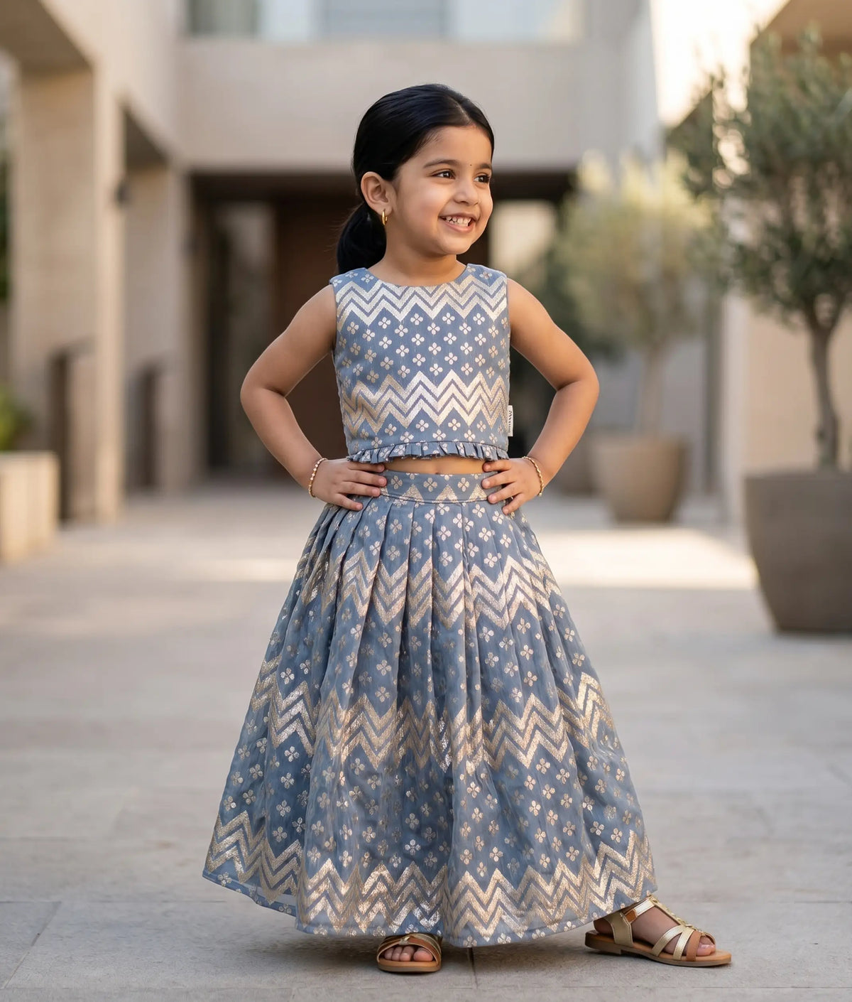 Ash Classic Top With Full Length Skirt For Special Occasions [2727]