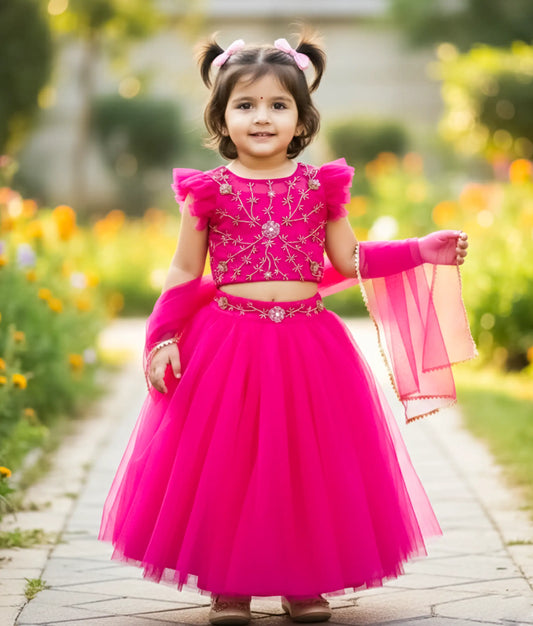 Magenta Tulle net Handworked Crop Top with Full Length Skirt For Baby Girl [Ready To Ship: 2396]