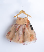 A sleeveless beige floral printed organza frock displayed on a wooden hanger.