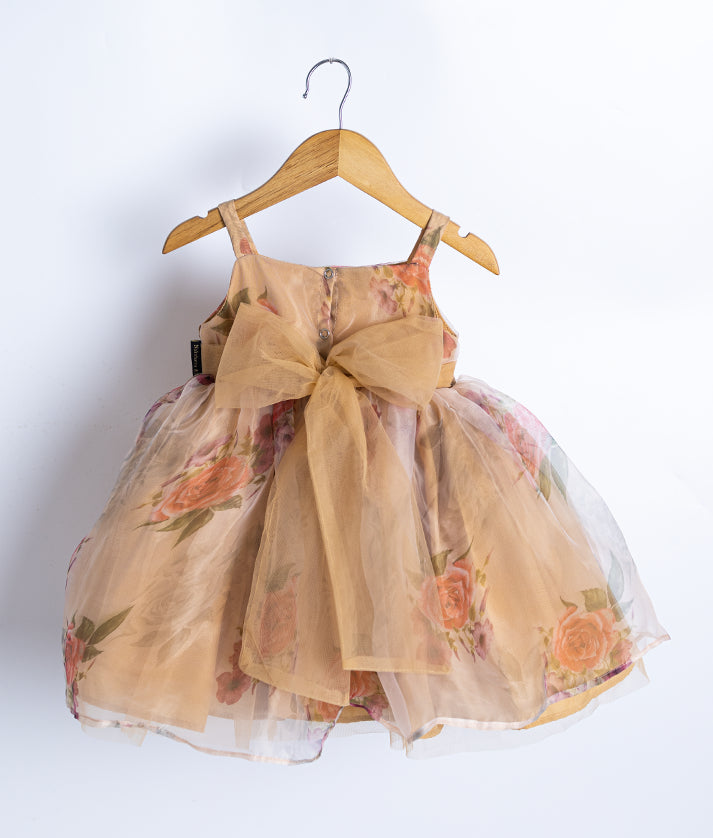 Back view of an sleeveless beige floral printed organza frock displayed on a wooden hanger.
