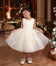 Baby girl wearing off white shimmer organza floral work birthday frock