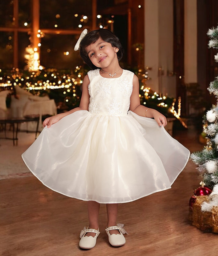 Baby girl wearing off white shimmer organza floral work birthday frock