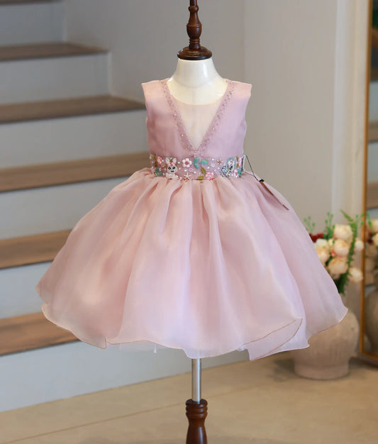 Front view of a beige organza girl's birthday frock featuring animal and floral themed waistband embroidery