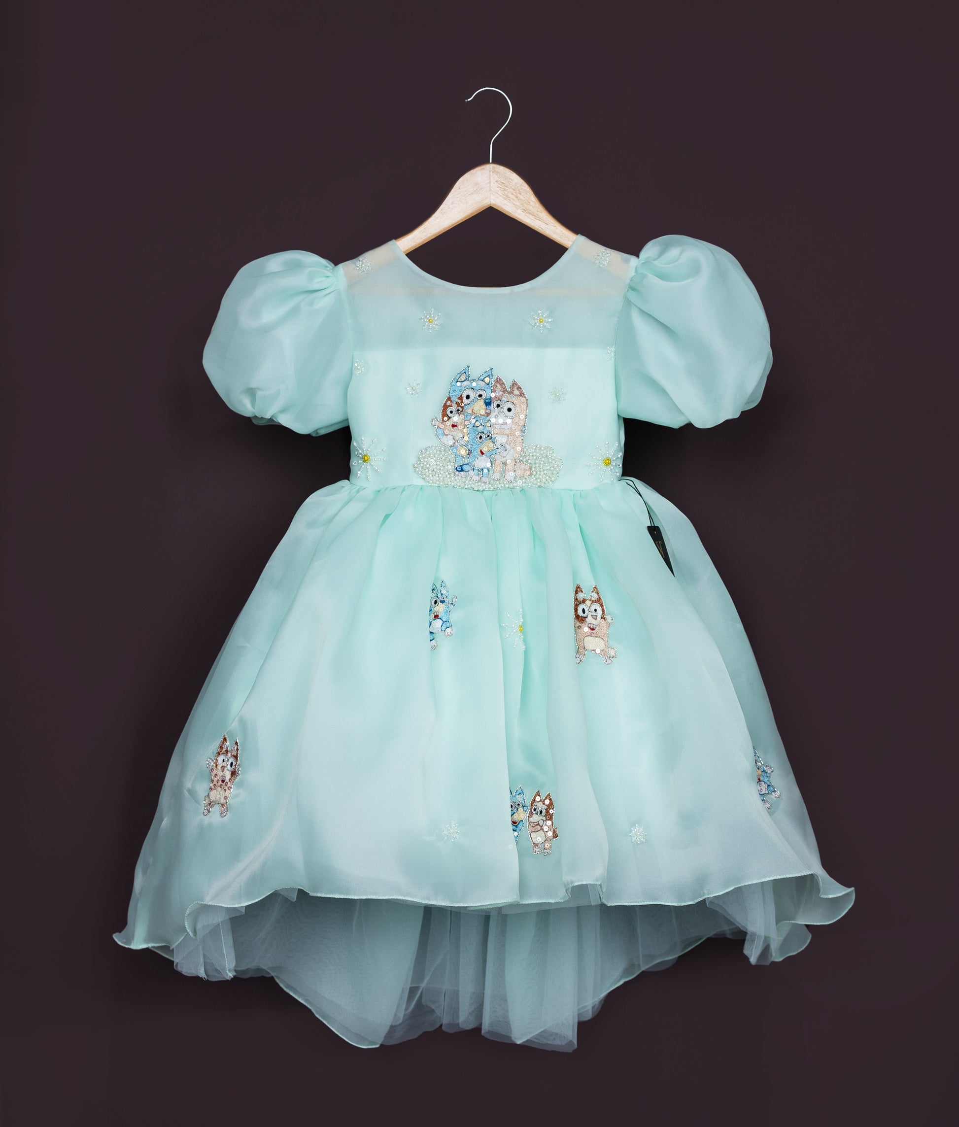 Close view of a sea green plain organza bluey-themed dress with embroidery and handwork for a baby girl.