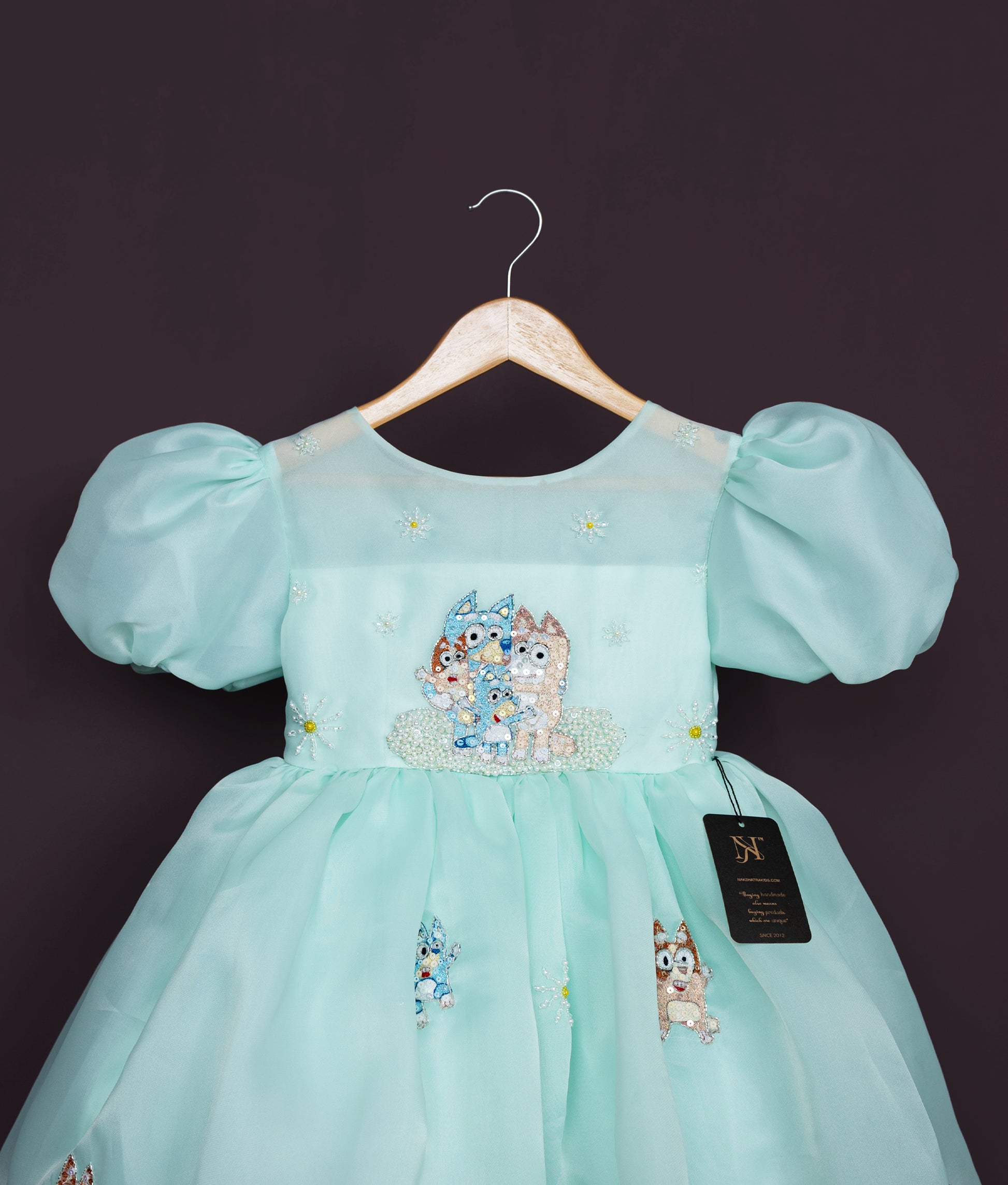 Back view of a sea green, plain organza, bluey-themed dress with embroidery and handwork for a baby girl.