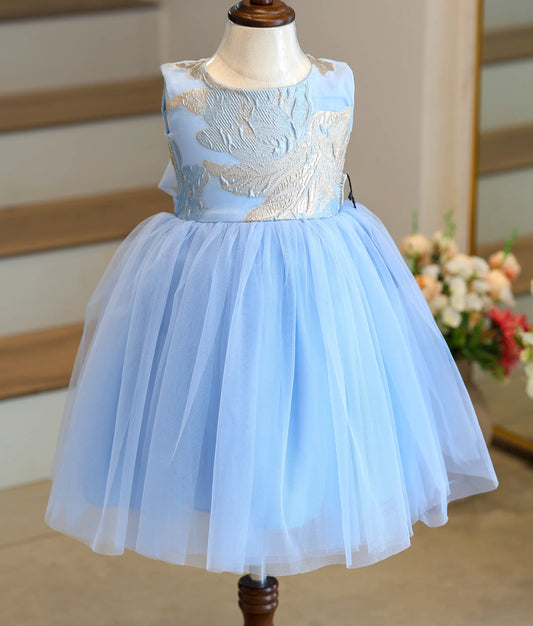 Front view of a blue tulle net frock with a golden leaf pattern organza top.
