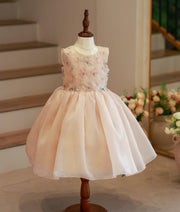 Front view of a golden shimmer organza butterfly theme birthday frock for girls with pastel embroidery