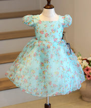 Front view of a light blue floral printed organza casual frock for baby girls
