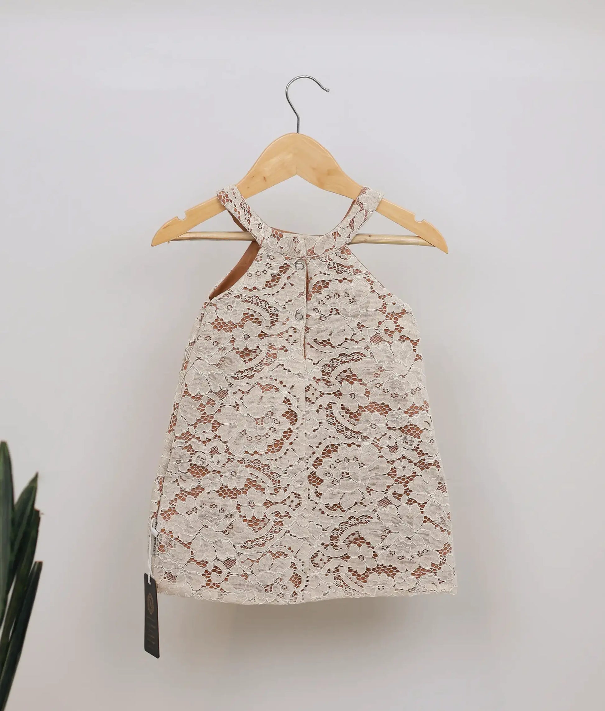 Knee-length beige lace dress with A-line skirt, ideal for toddlers (0-8 Yrs).