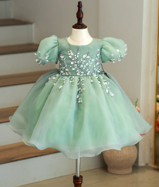 Front view of a pastel green organza girl's birthday frock with floral handwork and balloon sleeves