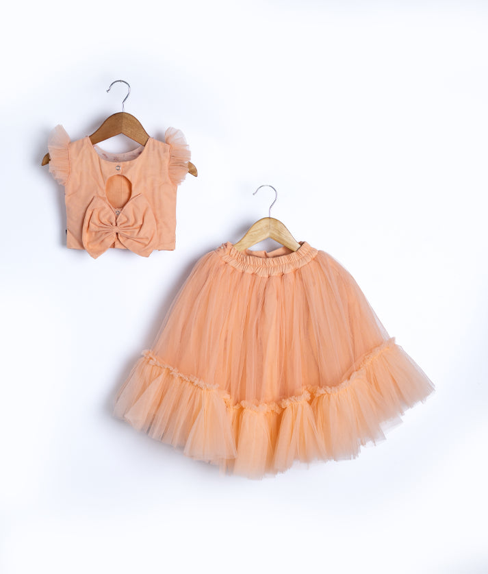 Peach Tulle Net Handworked Crop Top With Full Length Skirt For