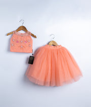 Peach tulle tutu skirt with matching embroidered 'Birthday Girl' top for toddler girls party outfit