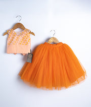 Peach swan theme handmade applique party dress step frock with tulle net skirt and embroidered bodice for girls