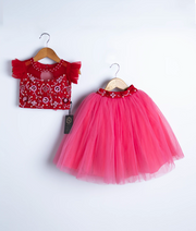 Red and pink swan theme handmade applique party dress with tulle net skirt and embroidered bodice for girls