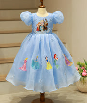 Front view of sky blue organza gown featuring hand-painted Elsa and friends on the skirt on mannequin.