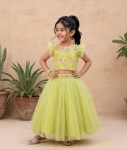 Pastel Green Tulle Net Handworked Crop Top With Full Length Skirt For Baby Girl [7288A]