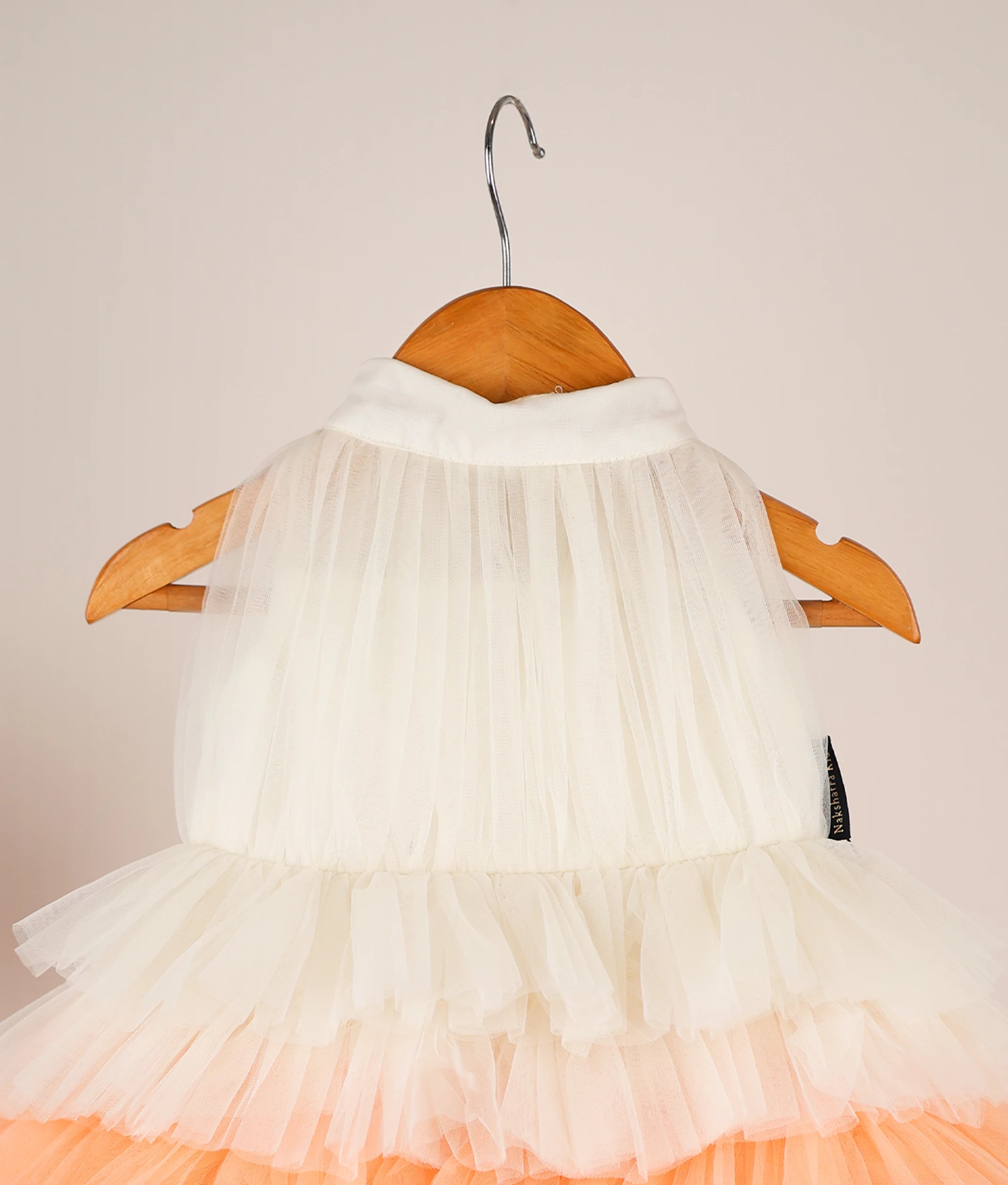 Multi-Colour Tulle Net Step Birthday Frock [Pre Order: 1101]