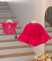 Rani Pink Tulle Net Handworked Crop Top with Full Length Skirt For Baby Girl [2080]