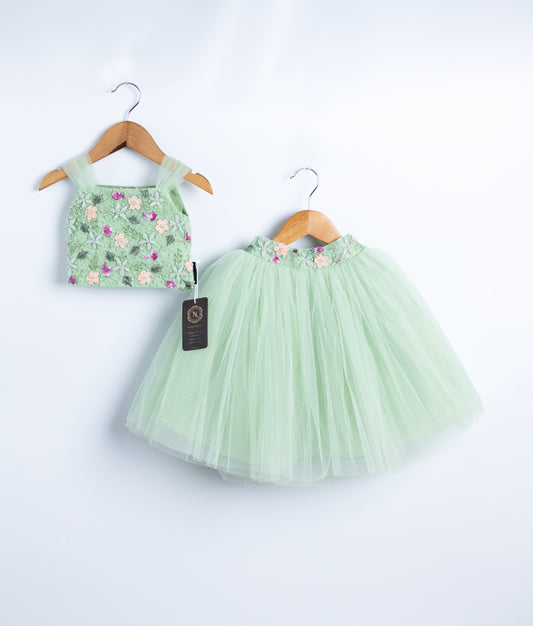 Elegant Classic Skirt and Top For Your Little One (2228)