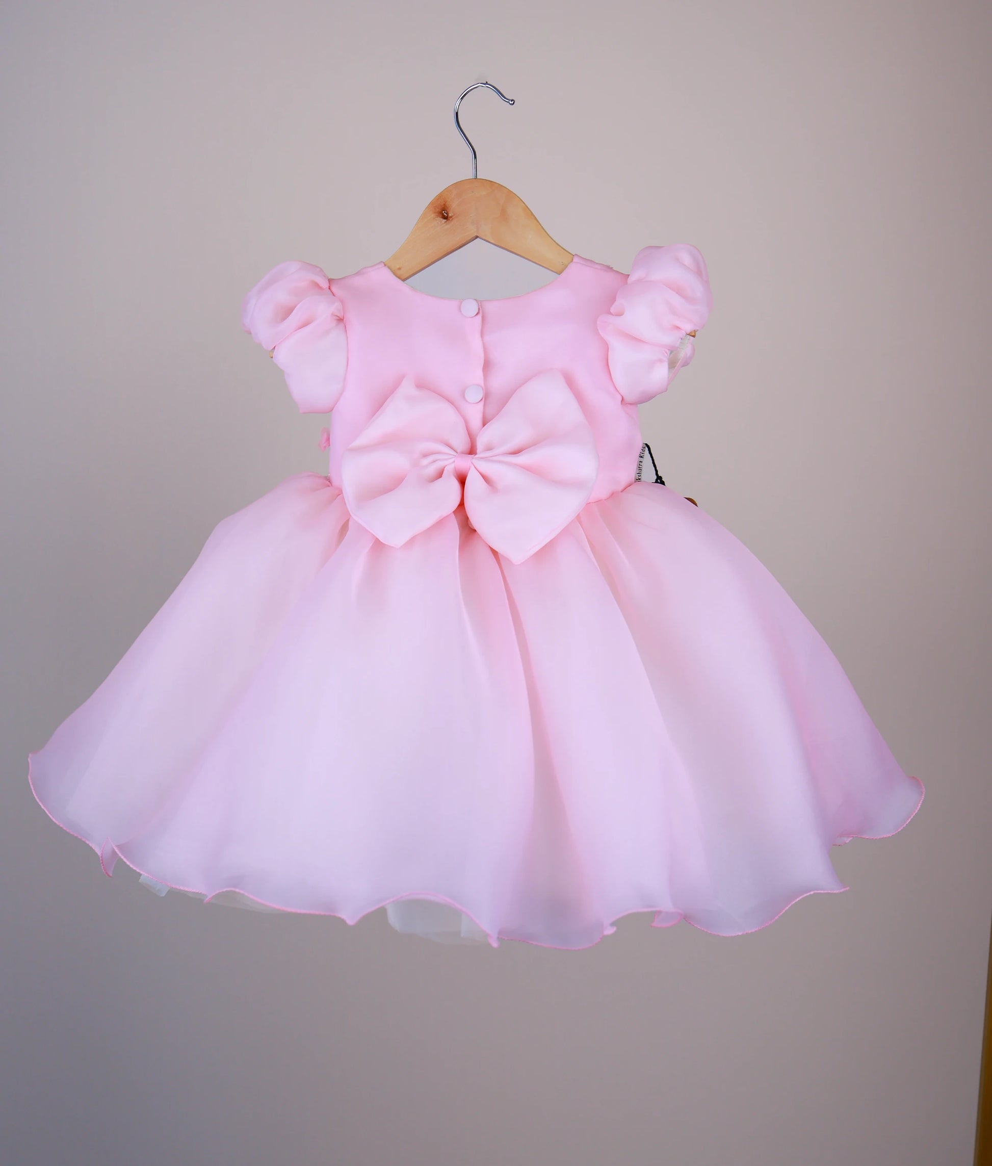 Back view of an pink plain organza baby girl frock with embroidered butterfly and floral designs on the bodice