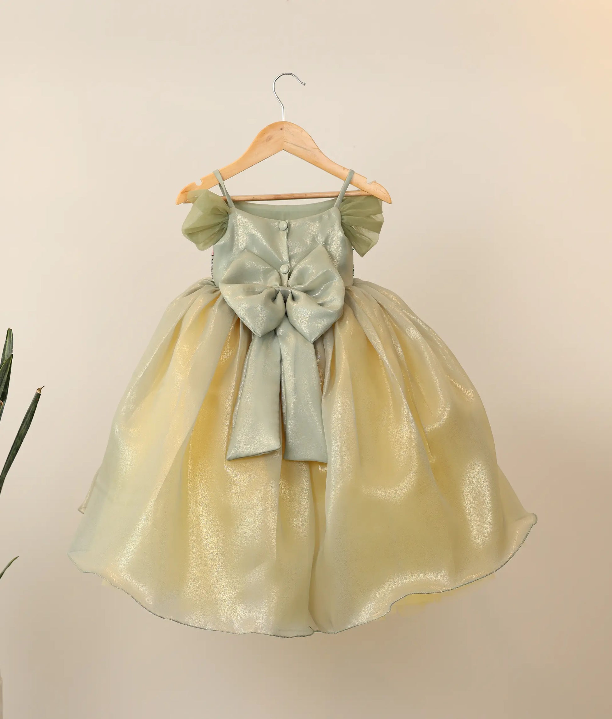 Back view of pastel green floral embroidery jungle-themed birthday dress for baby girl 