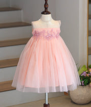 Powder Peach Tulle Net Applique Work Frock for Baby Girl [6145]