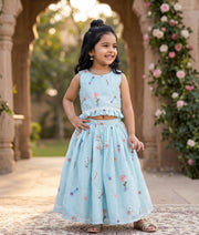 Pastel Blue Mul Chanderi Embroidered Skirt and Top for Baby Girl [6443]