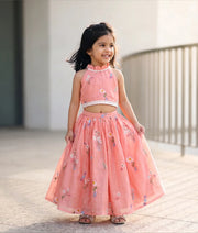 Peach Pink Mul Chanderi Embroidered Skirt and Top for Baby Girl [6450]