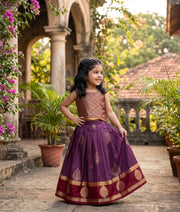Purple and Maroon Kanchipuram Silk Skirt and Top for Baby Girl [6485]