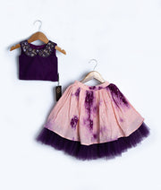Grape Wine Tulle Net Handworked Top With Chanderi Full Length Skirt For Diwali [2036]