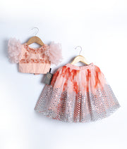 Pastel Peach Tulle Net Handworked Top with Organza Full Length Skirt [2037]