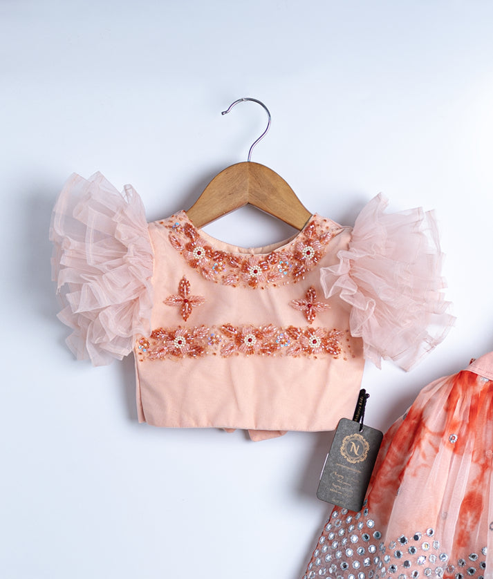 Pastel Peach Tulle Net Handworked Top with Organza Full Length Skirt [2037]