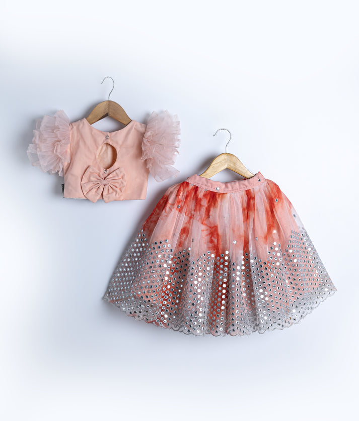 Pastel Peach Tulle Net Handworked Top with Organza Full Length Skirt [2037]